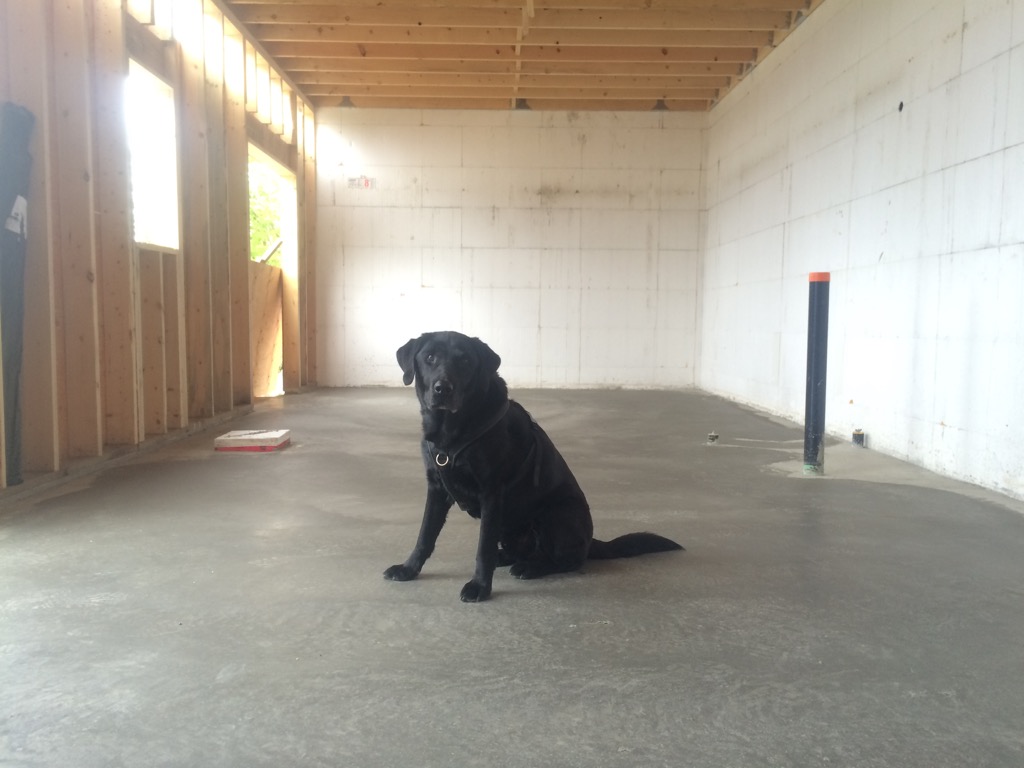WD on finished concrete